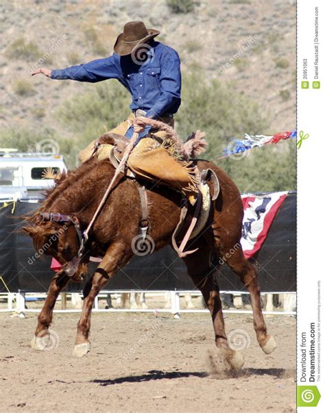Rodeo Bucking Bronc Rider Rodeos Are Very Popular In The Western