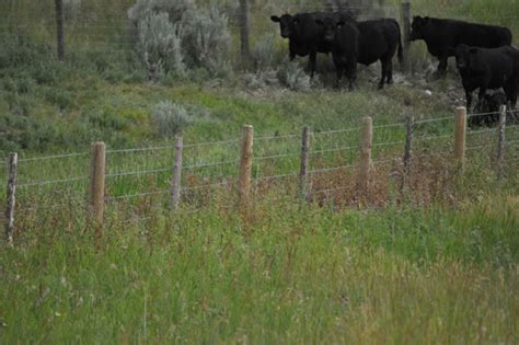 We supply barbed wire, wire mesh, post hole diggers & more. Anderson Fencing, Inc - Dillon, MT 59725