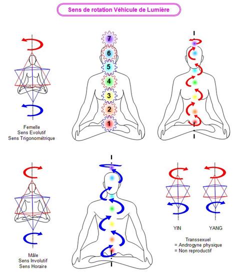 Energy Pathways 7 Chakras Meditation Kundalini Meditation Kundalini