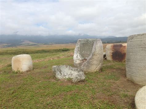 Central Sulawesi Megalithic Sites Delineated For World Heritage Status