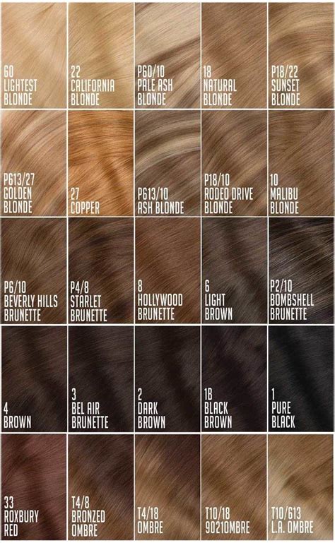 Pin By Laura C On Hair Color Hair Color Chart Brown Hair Shades