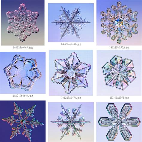 Snowflakes Under Microscope