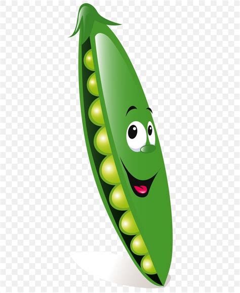 Vegetable Pea Green Bean Cartoon Png 800x1002px Vegetable Bean