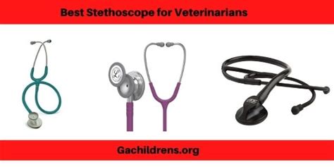 Best Stethoscope For Veterinarians 2021 Reviews And Buyers