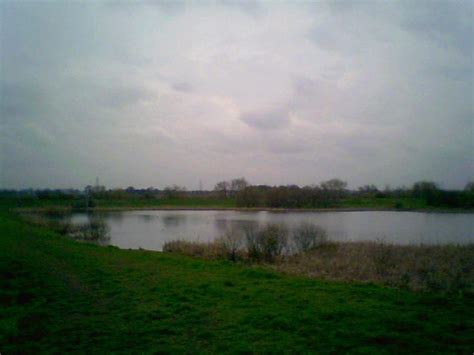 Allerton Bywater Birdwatching Site Birdguides