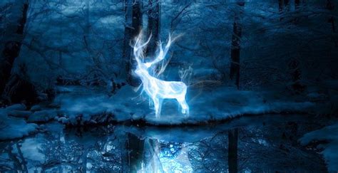 Whats Your Harry Potter Patronus Heads Up By Boys Life