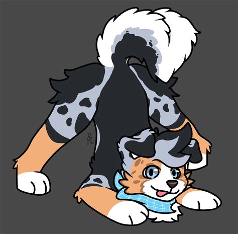 The Big Imageboard Tbib Absurd Res Anthro Australian Shepherd