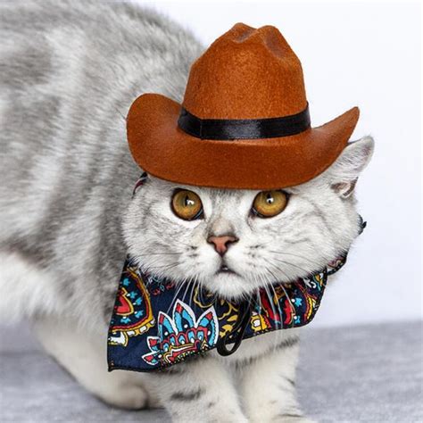 Cat Cowboy Hat Meme Pet Accessories Wholesale Supplier