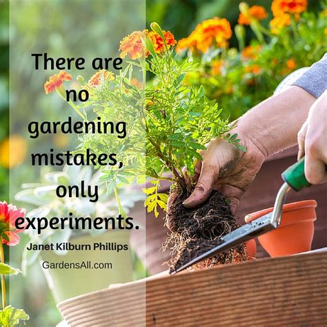 Garden Quotes For Life Growth And Inspiration Gardensall