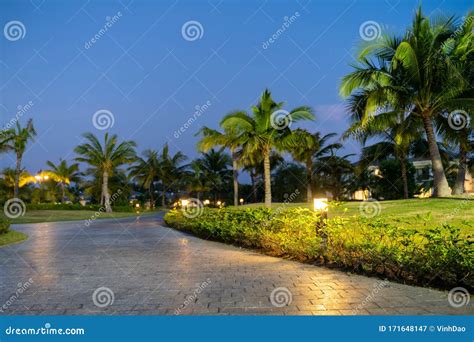 Illuminated Light In Resort Park At Night With Palm Trees On Background