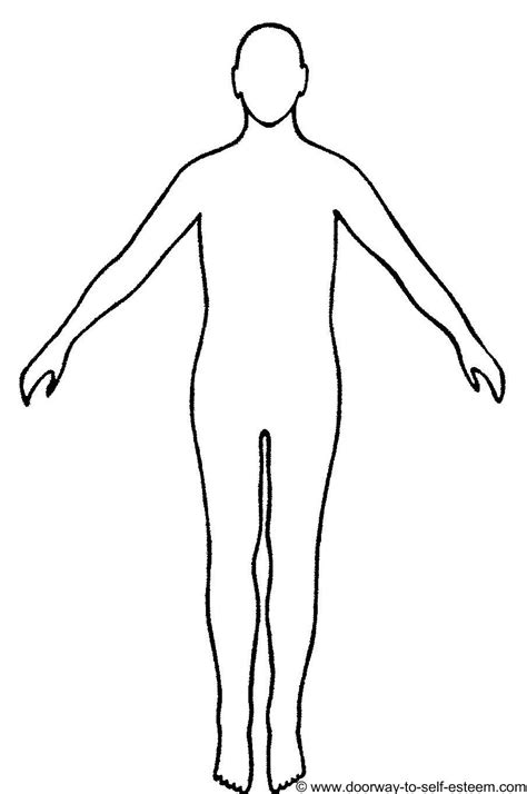 Human body outline front and back drawing illustrations. human figure, download full sized image jpg 76KB ...