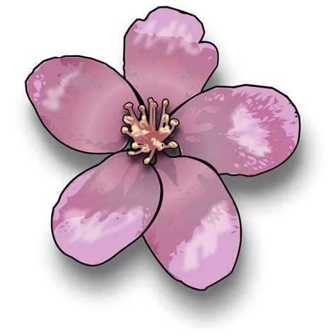 Cartoon Cherry Blossom Tree Clipart Free Download On Clipartmag