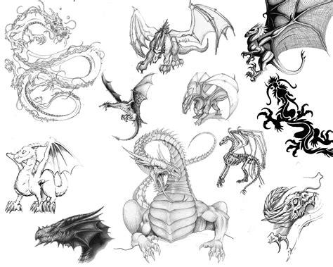 No more question what to draw? free brushes for adobe photoshop and adobe photoshop sketch. dragon drawings | Dragons brushes 3 by ~zoomanchoo on ...