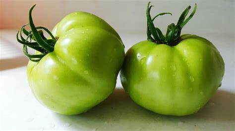 19 khasiat tomato yang anda perlu tahu. Khasiat Madu Murni Majalengka: Keajaiban Tomat Hijau Dan ...