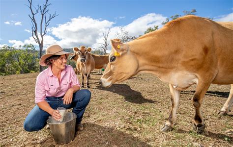 Tommerup Dairy Farm Named In Farmer Of The Year Awards Australasian