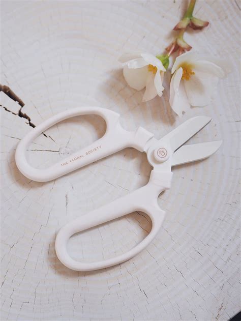 Floral Clippers Modern Floral Floral Interior Styling
