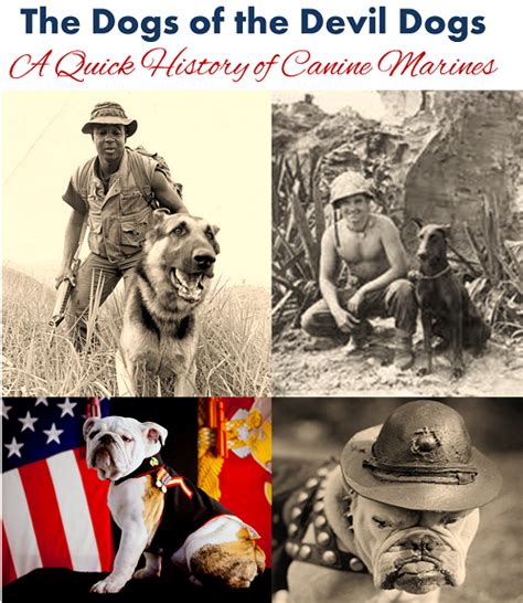 What Is Devil Dog In Marine Corps