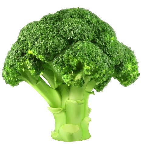 Broccoli Clipart 20 Free Cliparts Download Images On Clipground 2024