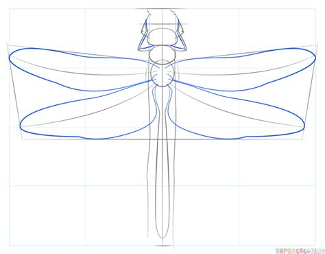 How To Draw A Dragonfly Step By Step Drawing Tutorials