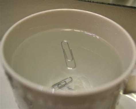 Water Surface Tension Experiment Science With