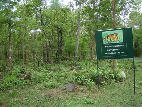 Best Wildlife Sanctuaries And National Parks In Odisha Witness The