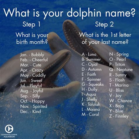 Pet groomer in ocean springs, mississippi. Find out your dolphin name! | Dolphin quotes, Dolphin tale ...