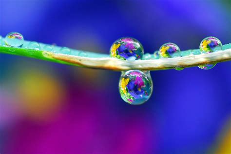 The Natural Unedited Beauty Of Taking Macro Photography Of A Water