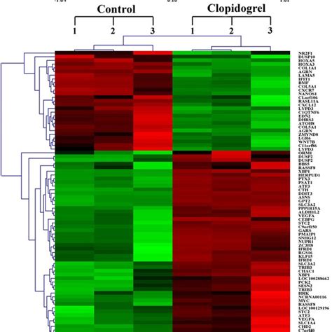 Microarray Analysis For The Differentially Expressed Genes Involved In