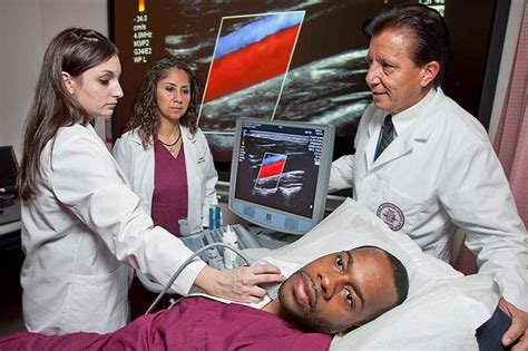 Colleges That Offer Sonography Programs Near Me Infolearners