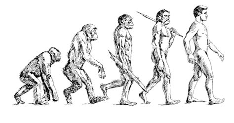 The teach Zone: Human Evolution Timeline Interactive Picture!