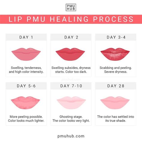 Lip Blush Healing Process Day By Day Timeline And Stages Tattoo Healing Stages Lips Lip