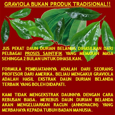 Untuk sakit buah pinggan yang sudah dialisis. Jus Daun Durian Belanda Rawat Kanser dan Sakit Kronik
