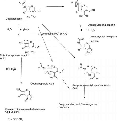 Alkoximino Group In Cephalosporin Pharmaceutical Chemistry