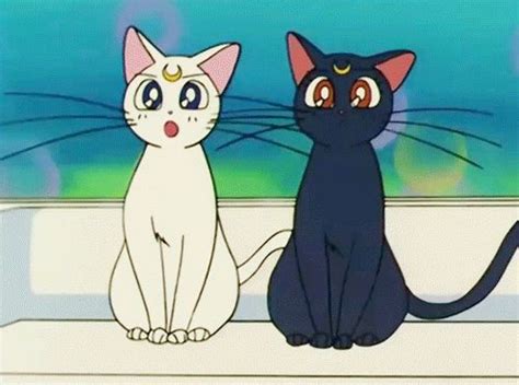 The cat named kamineko seems to especially enjoy unhinging its jaw to bite her hand. 14 best images about Sailor Moon Cats on Pinterest | Cats ...