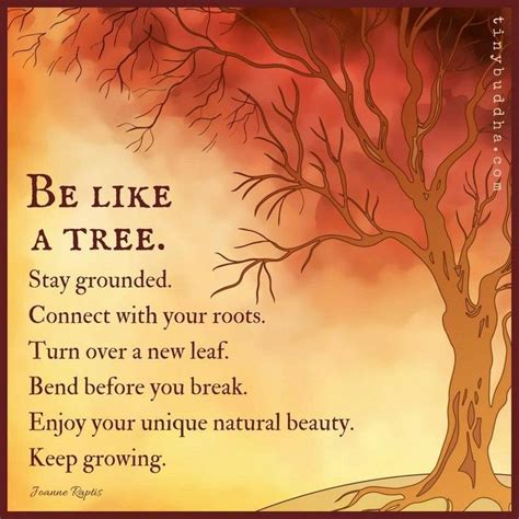 Be Like A Tree Stay Grounded Connect With Your Roots Turn Over A