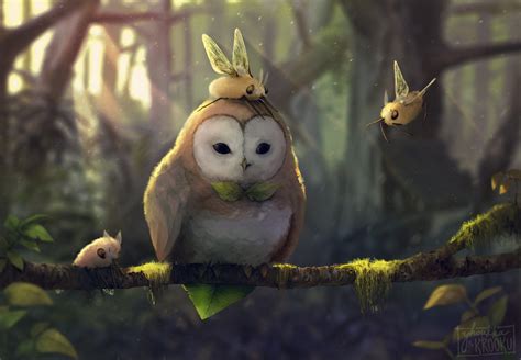 Owls Forest Wallpaper Hd Desktop Wallpapers 4k Hd Images