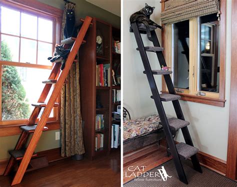 Give Kitty Her Own Ladder To Climb Hauspanther
