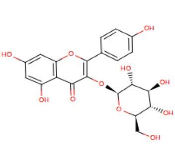 It can be found in smilax china, and in the fern asplenium rhizophyllum, and its hybrid descendants, as part of a complex with caffeic acid. Kaempferol-3-glucoside | CAS 480-10-4 | Santa Cruz Biotech