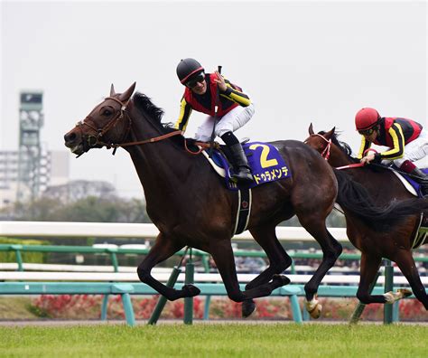 ドゥラメンテ (duramente) は、日本の競走馬。馬名はイタリア語の duramente （荒々しく、はっきりと）という音楽用語に由来する。 2015年に皐月賞、日本ダービーの二冠を制し、jra賞最優秀3歳牡馬に選出された。 ドゥラメンテ復帰戦へ異例の今日追い切り／中山記念｜極ウマ ...