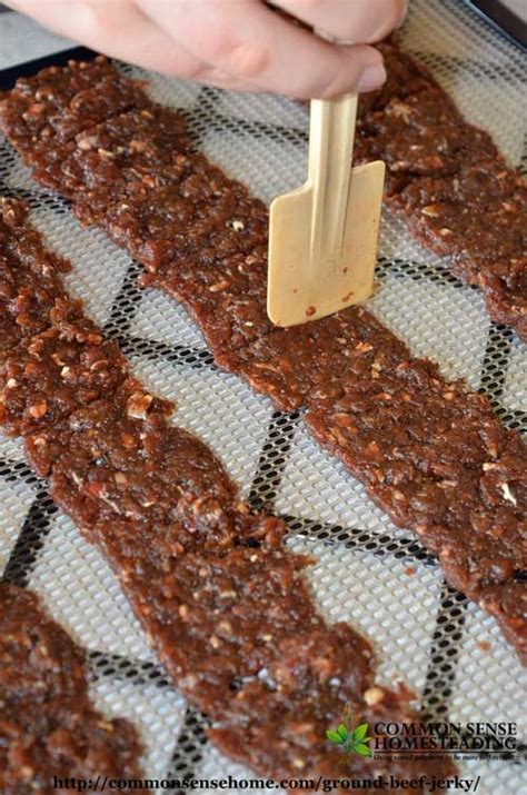 Never cook at a lower temperature than listed on the device. Budget Friendly Ground Beef Jerky Recipe | Recipe | Jerky recipes, Beef jerky recipes, Ground ...