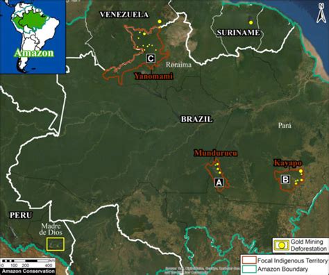 Gold Mining Threatens Indigenous Forests In The Brazilian Amazon