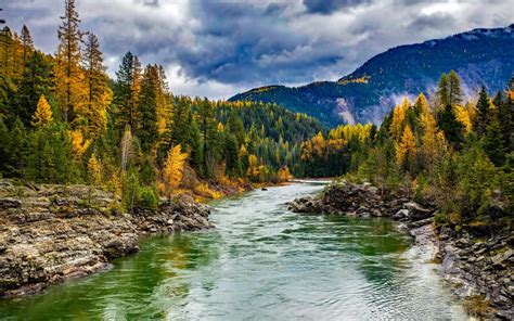 Montana Indeedmanage Page