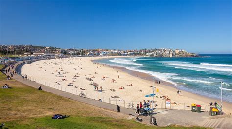 Bondi Beach In Sydney Expedia