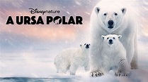 Polar Bear izle | Filmdiziplus.com