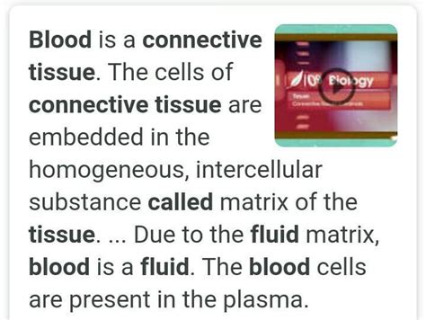 Why Blood Is Called Fluid Connective Tissue