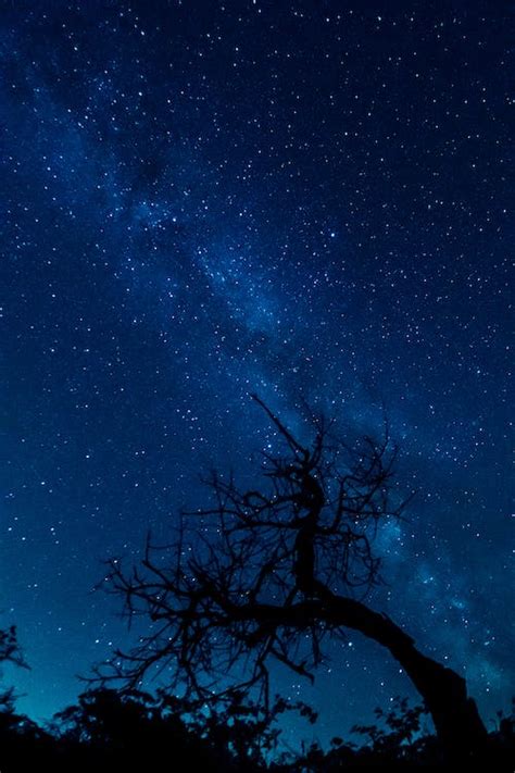 Starry Sky During Dusk · Free Stock Photo