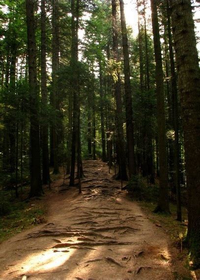 Localizarea rezervației pe harta țării. Traseu in Parcul National Ceahlau - Cascada Duruitoarea