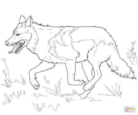 I'm drawing each of their wolf dogs. Realistic Wolf Drawing Tutorial at GetDrawings | Free download