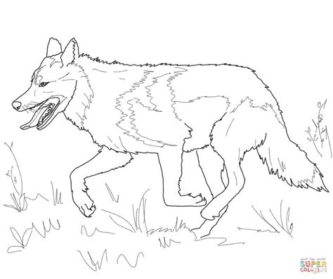 40 realistic wolf coloring pages. Realistic Wolf Drawing Tutorial at GetDrawings | Free download