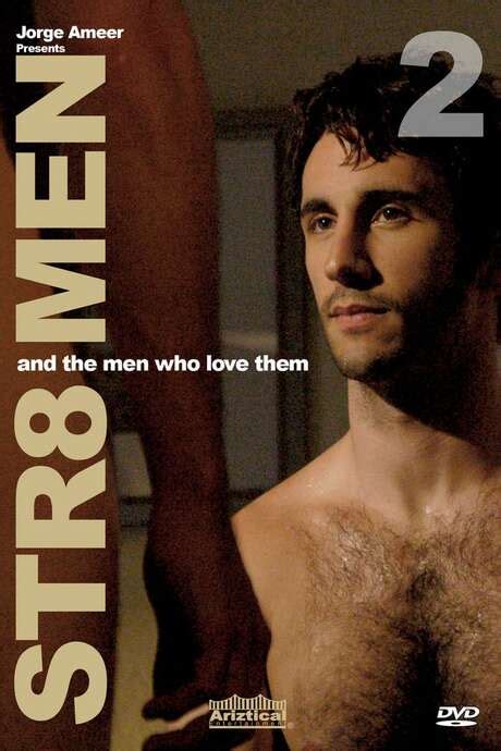 ‎straight Men And The Men Who Love Them 2 2008 Directed By Jorge Ameer William Branden Blinn Et